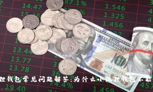 小狐狸钱包常见问题解答：为什么小狐狸钱包不能联网？