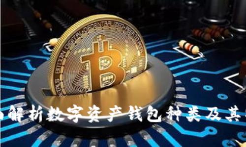 全面解析数字资产钱包种类及其特点