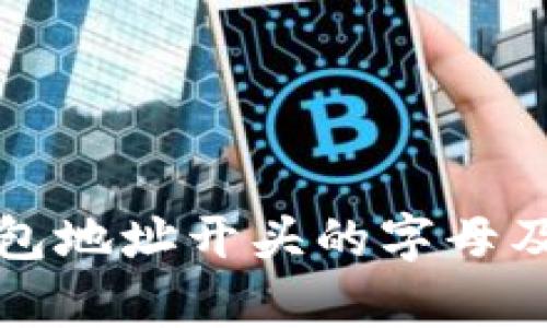 数字货币钱包地址开头的字母及其含义解析