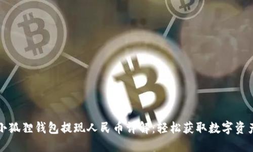小狐狸钱包提现人民币详解：轻松获取数字资产